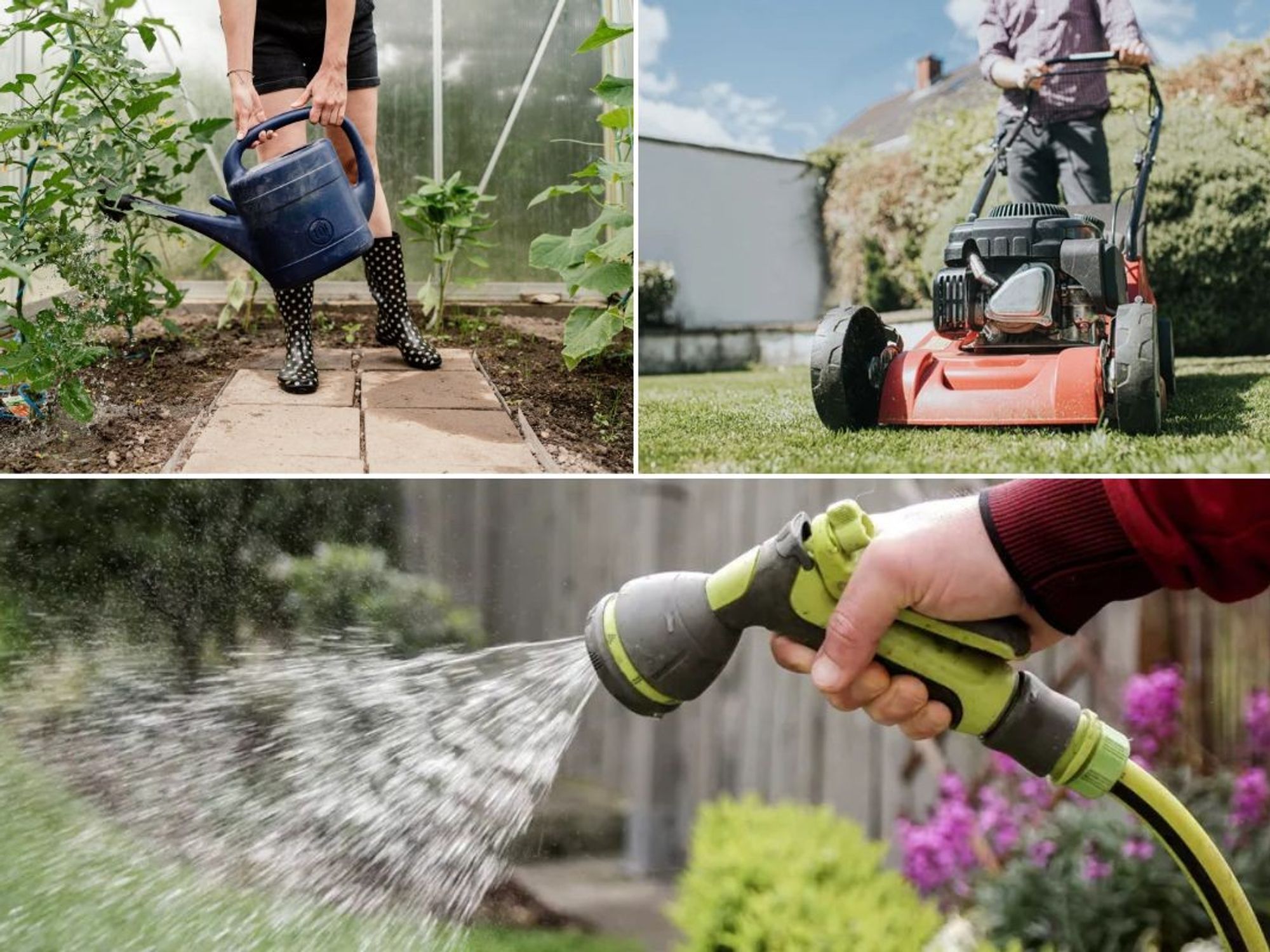 Woman watering plants using watering can / Man mowing lawn / Watering using hosepipe