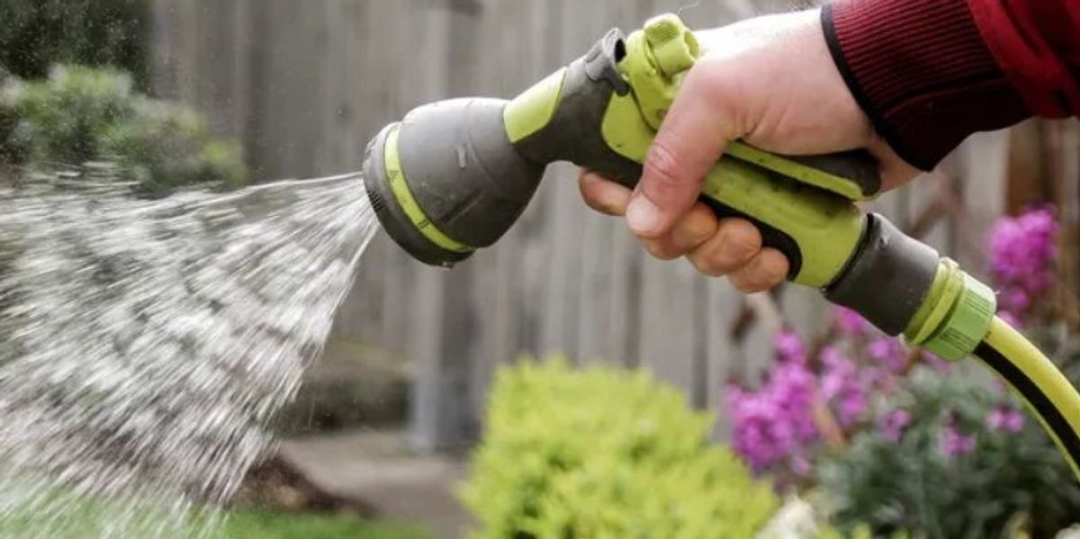 NextImg:Gardening: More than 20 million Britons could be hit with hosepipe ban - how to care for your lawn during restrictions