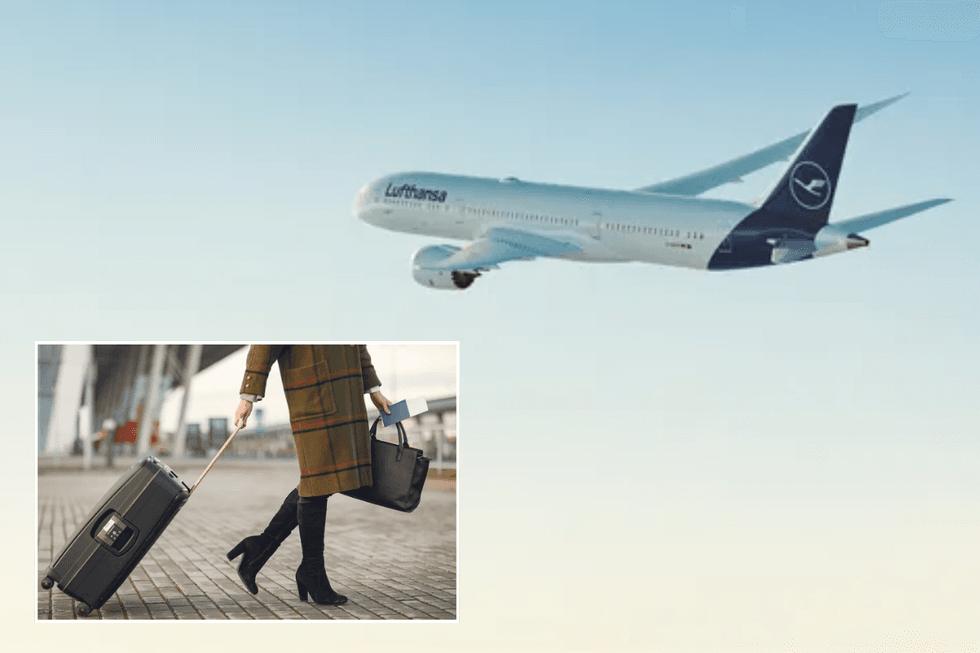 Airline rolls out new 'basic' option with cheaper fares for travelling light