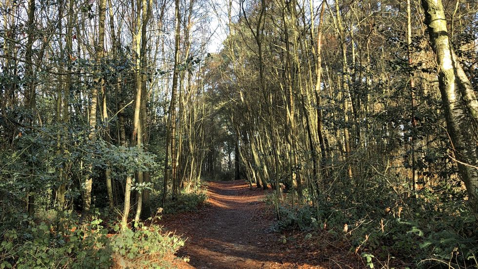 Wonersh Surrey
