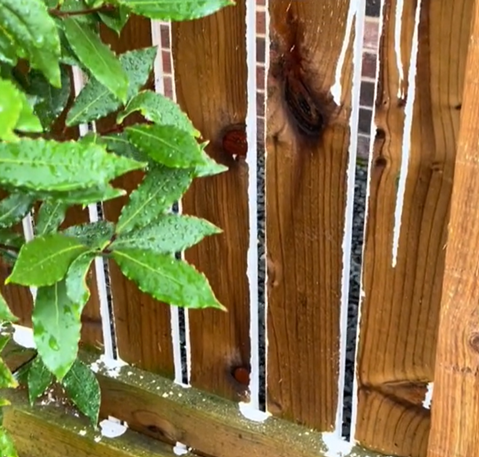Wooden fence