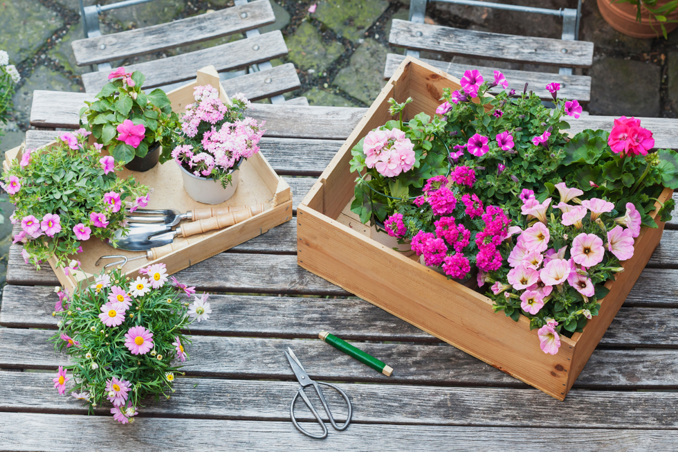 Wooden planters with pink and white flowers