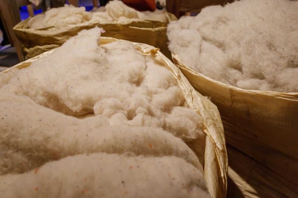 Wool