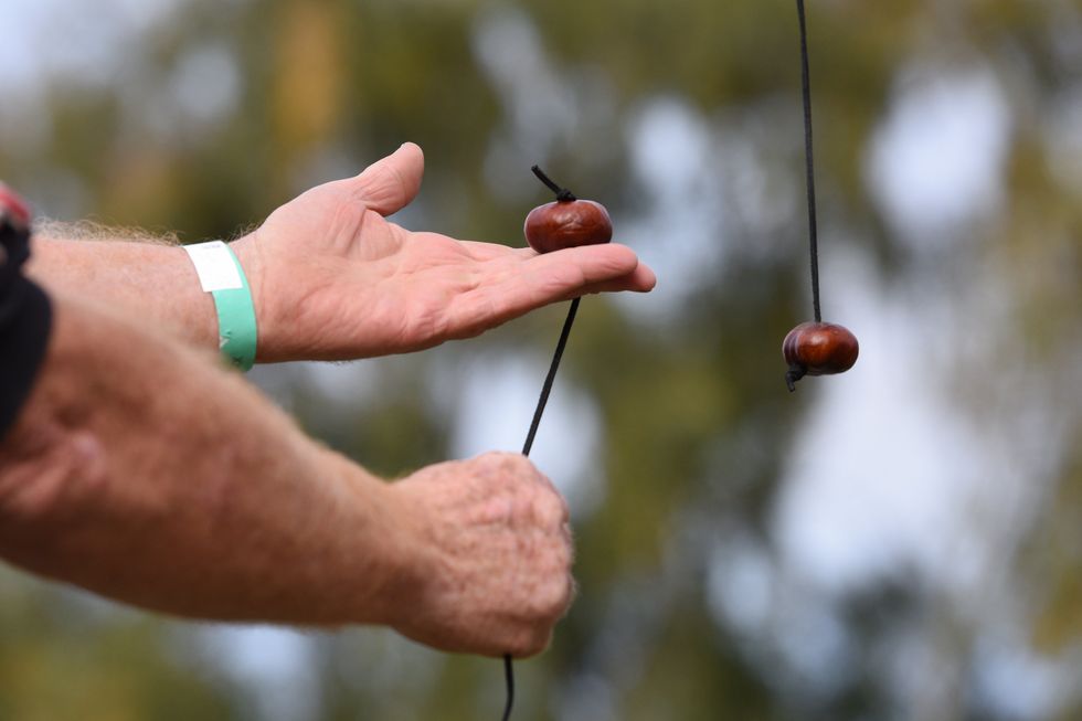 World Conker Championships