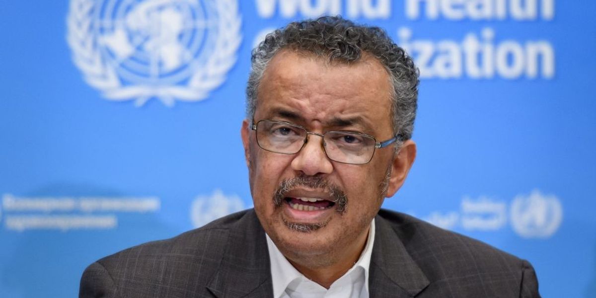 NextImg:WHO is drafting a global 'pandemic agreement' - but should we be worried?