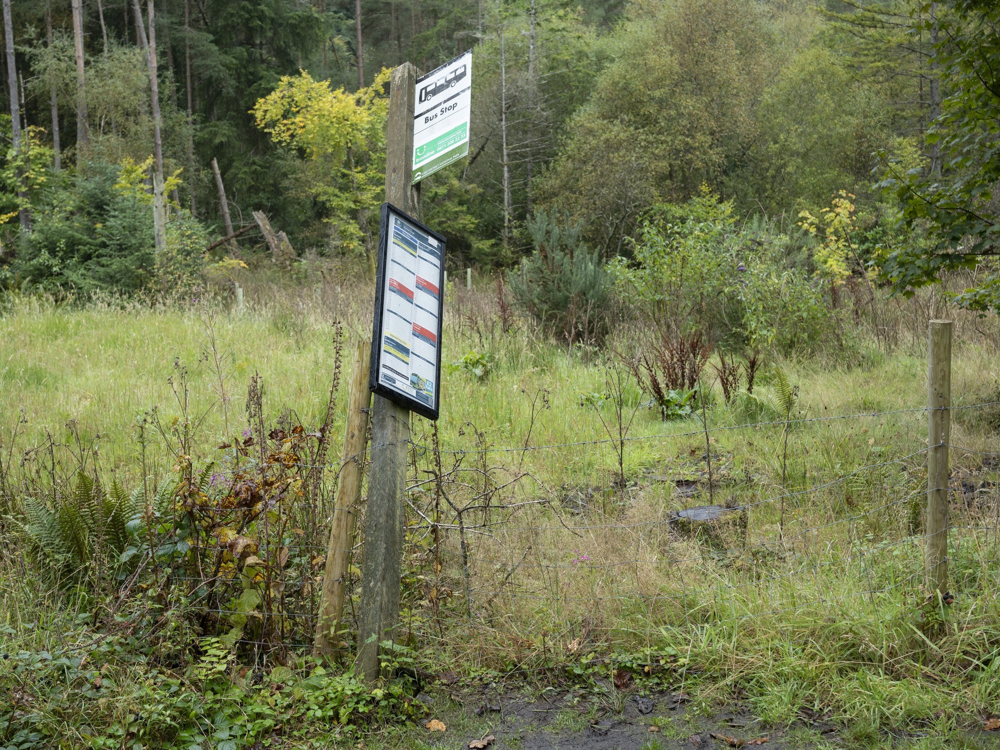 Worn down bus stop in Cumbria