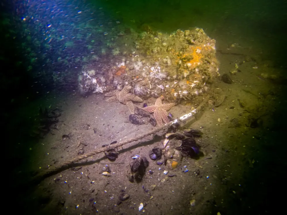 Wreckage