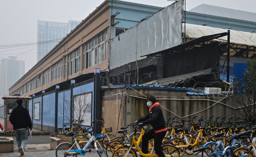 Wuhan seafood market