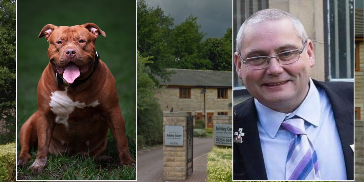 Police forced to eliminate XL Bully after man, 53, killed by his own pet