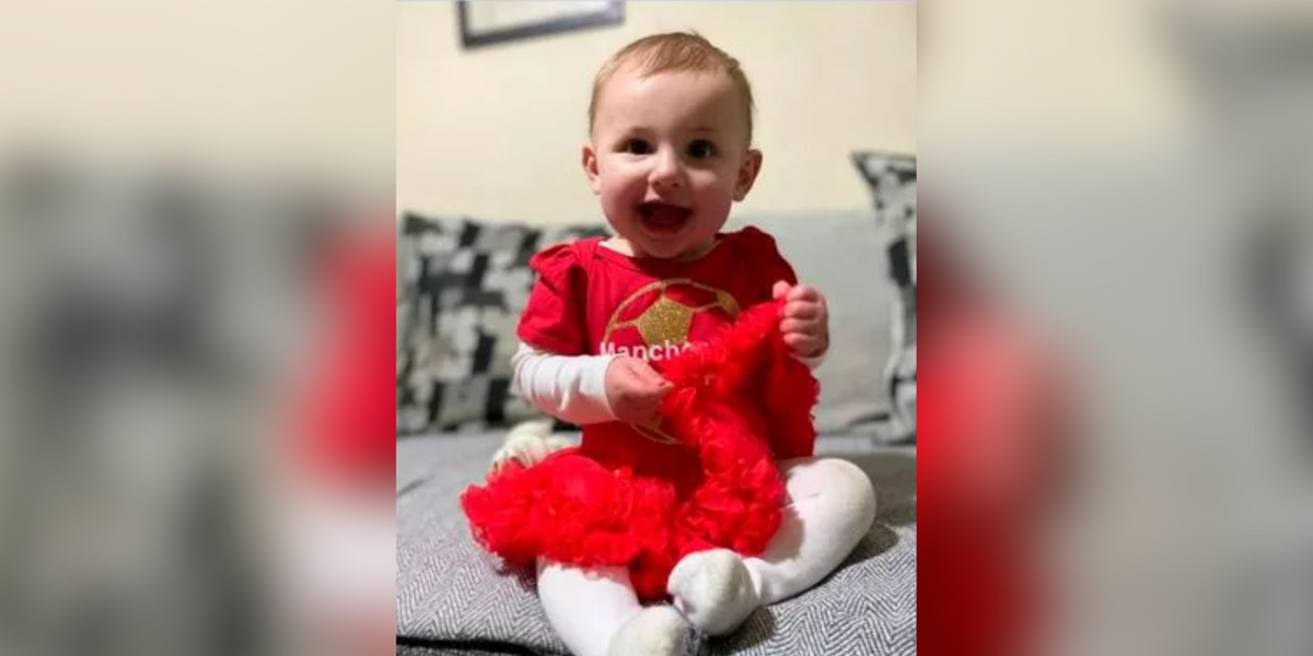 NextImg:Baby girl airlifted to hospital after being 'attacked by XL Bully'