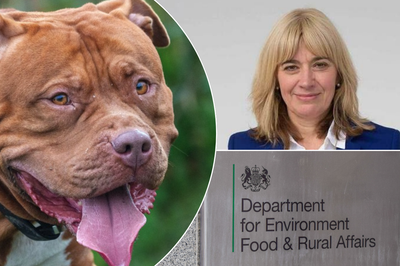 XL Bully/Defra sign/Christine Middlemiss