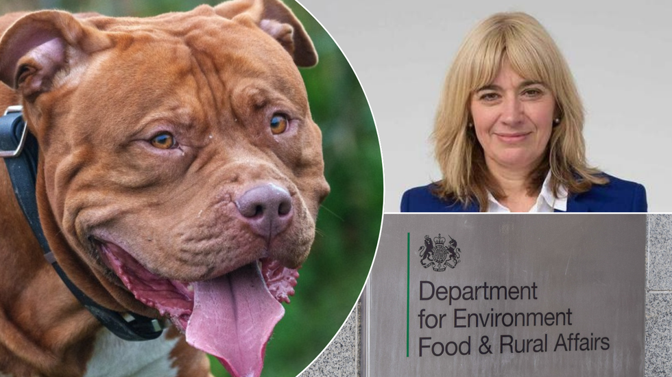 XL Bully/Defra sign/Christine Middlemiss
