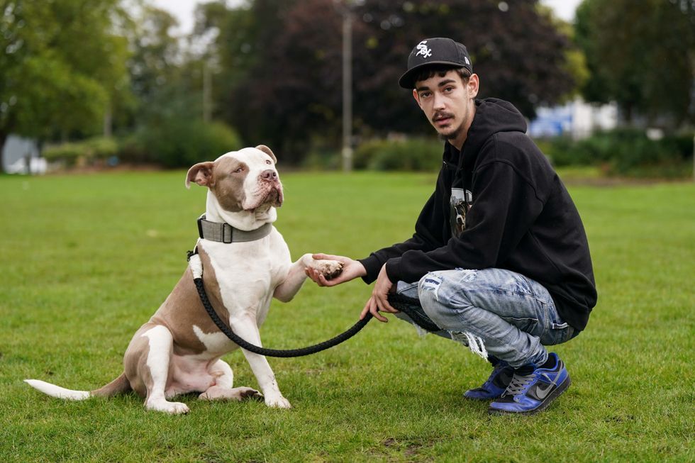 XL bully dog and owner