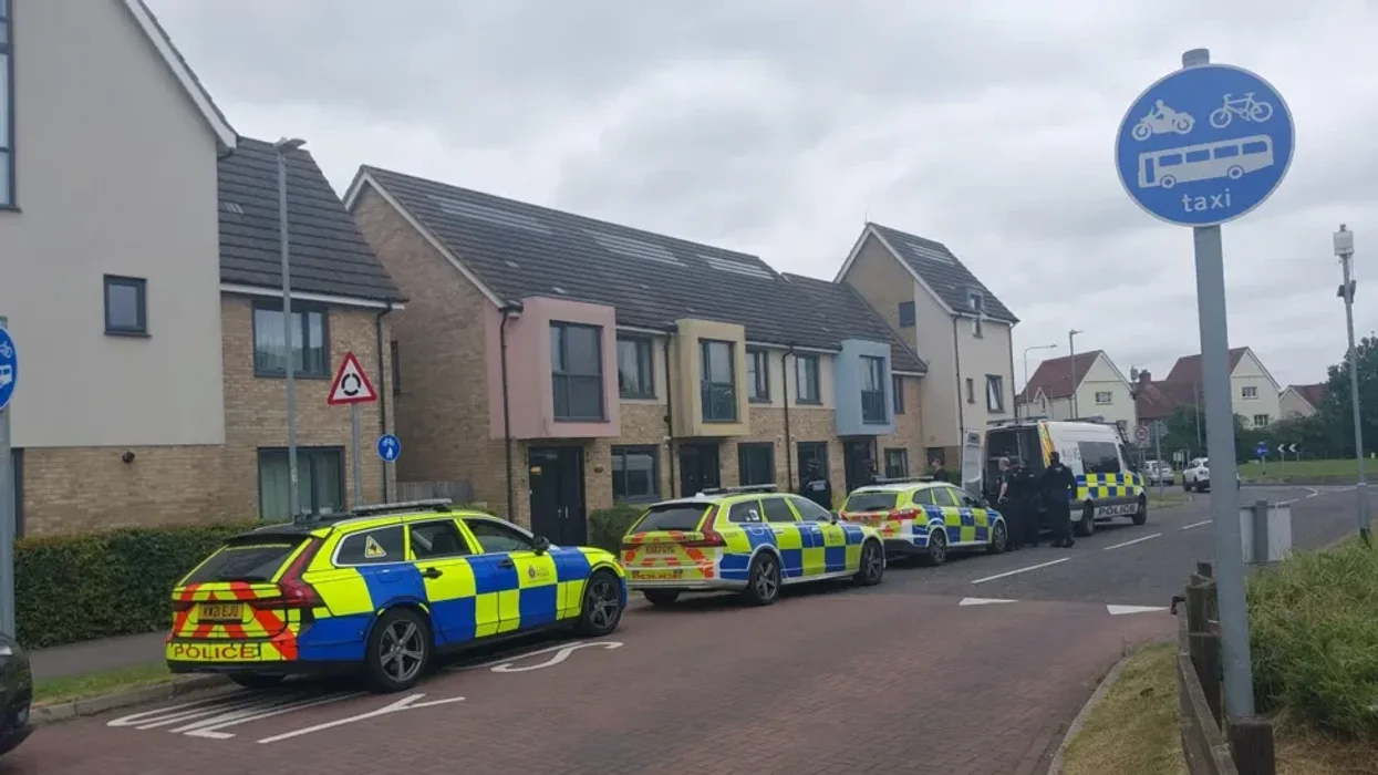 XL Bully dog farm raided as police seize 13 dogs