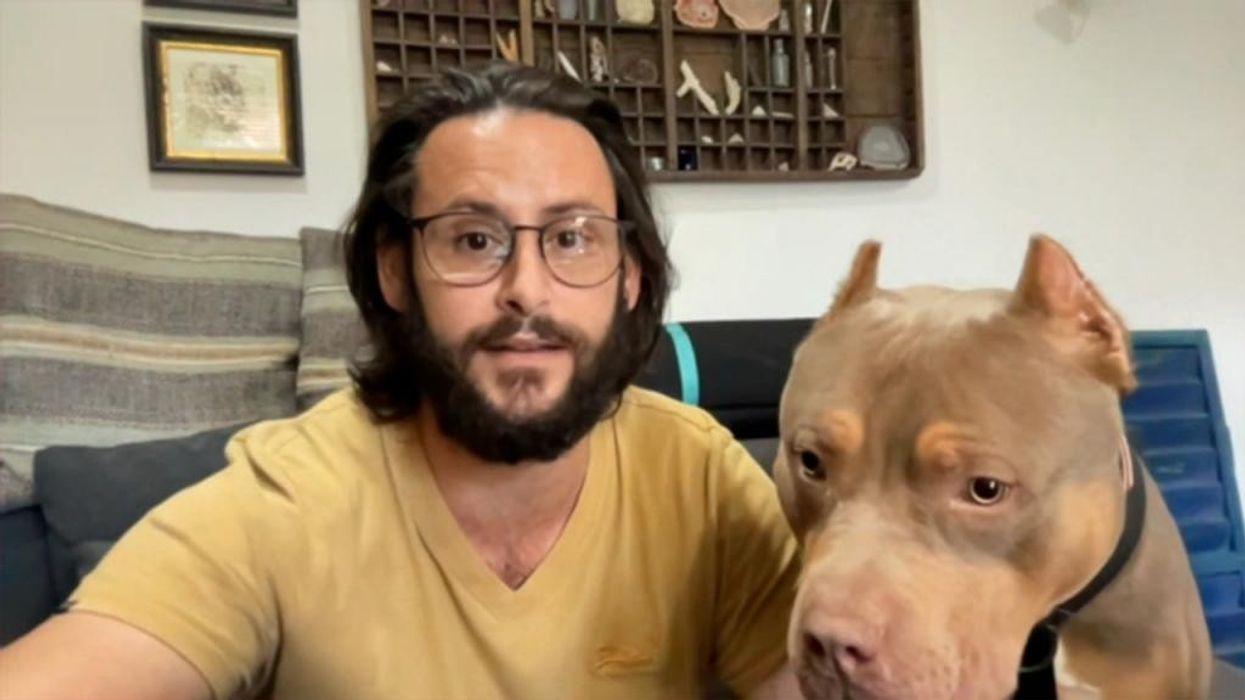 XL Bully owner worries for his dog’s life following breed ban: ‘I’m devastated’
