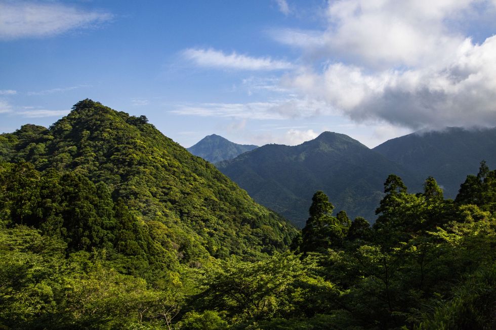 Yakushima Island