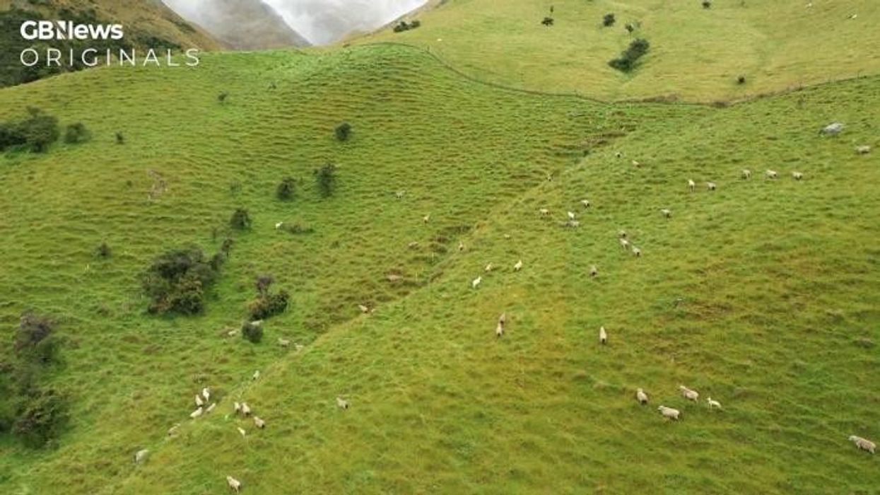 Humza Yousaf blasts 'toxicity' in Scotland immigration debate as finally admits SNP failure to listen to voter concerns