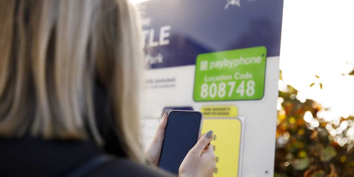 NextImg:Drivers at risk of losing 'thousands of pounds' amid parking scam targeting vulnerable Britons