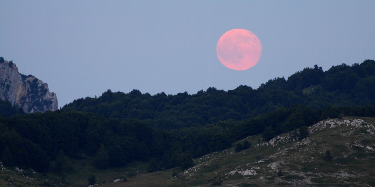 NextImg:Rare pink 'micromoon' and HUGE blue star to dazzle UK skies - 'It will be hard to miss'