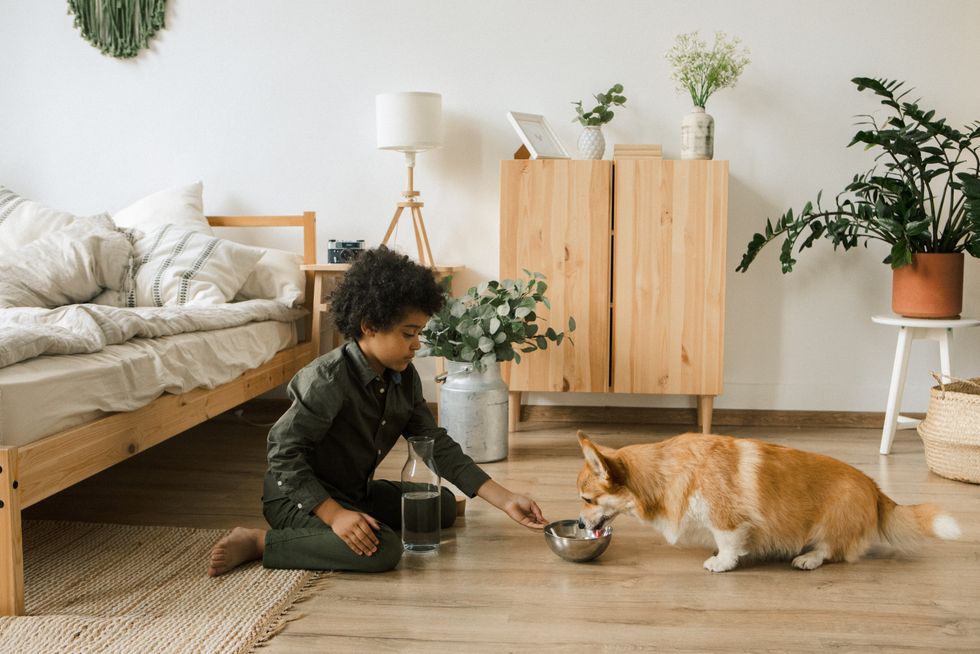 Young boy giving a dog a bowl of water