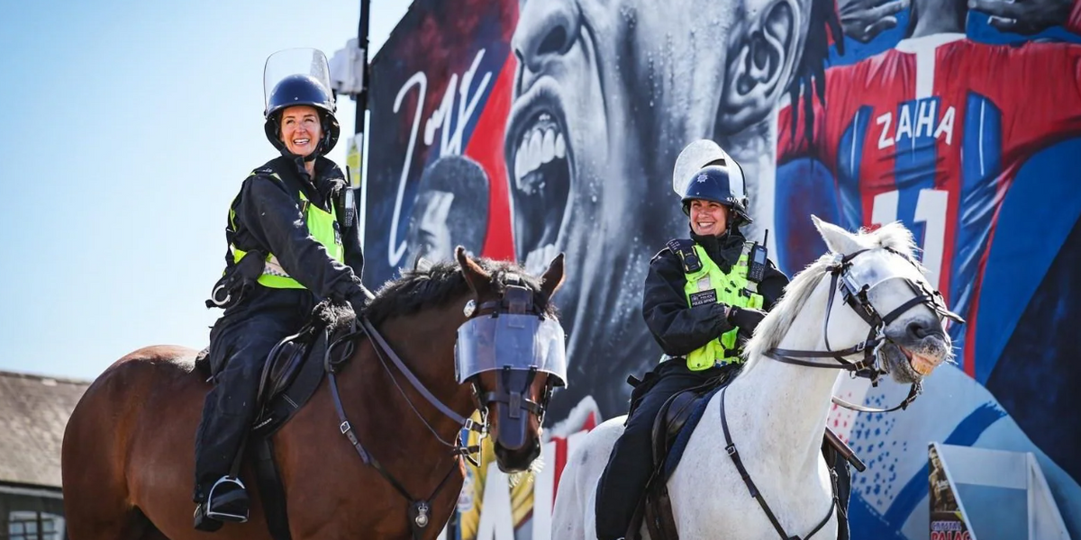 NextImg:Met Police horses attacked as body-worn footage shows dog chasing and biting legs