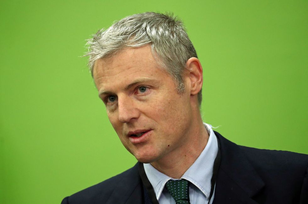 Zac Goldsmith was elevated to the House of Lords after serving as the MP for Richmond Park