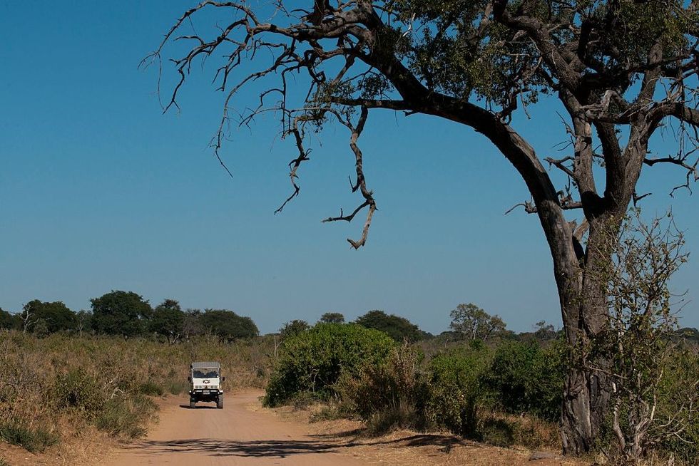 Zambia