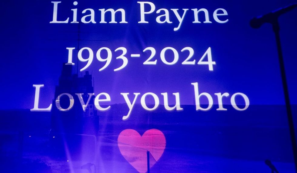 Zayn Malik's concert