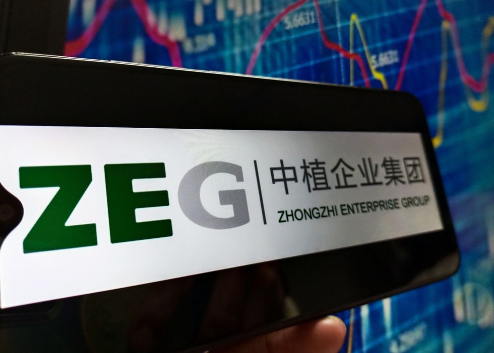 ZEG sign and stocks