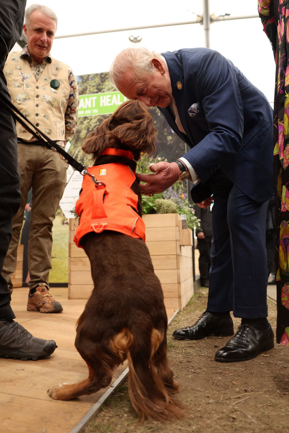 Zinco no Chelsea Flower Show com o Rei Charles
