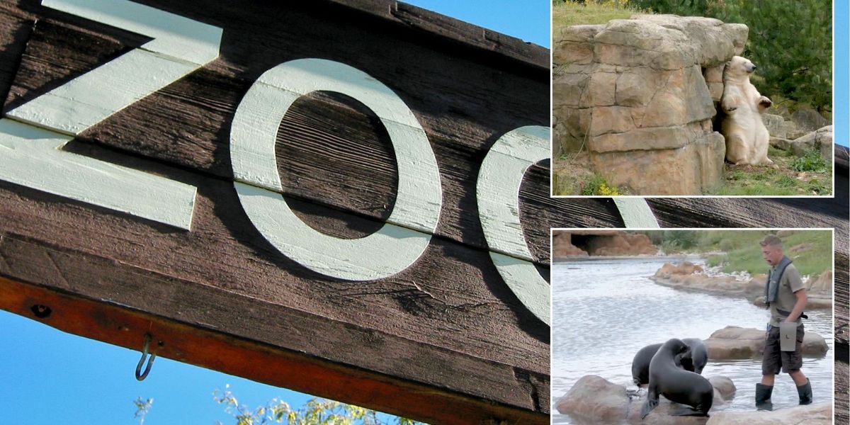 NextImg:New 'long overdue' welfare reforms for animals enforced at British zoos
